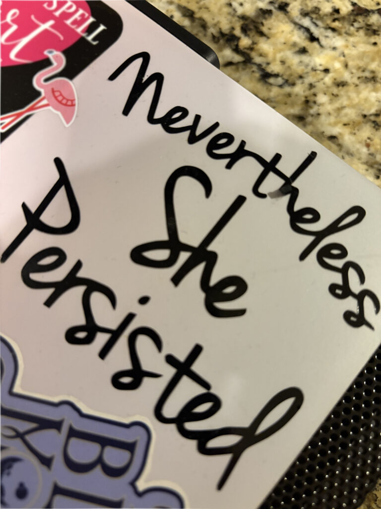 Nevertheless She Persisted
